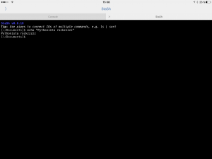 Zu sehen ist das Interface von Pythonista in dem die StaSH Shell angezeigt wird