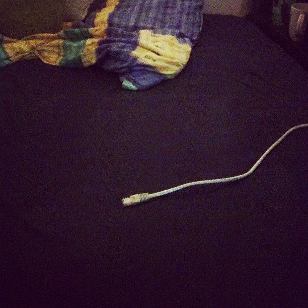 Image of a ethernet cable on a bed